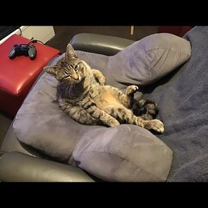 Meet your Posher, Suzanne